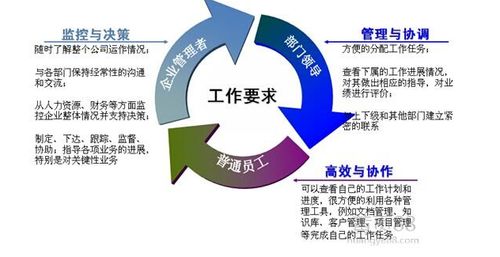 企業(yè)管理軟件的現(xiàn)狀與應(yīng)用